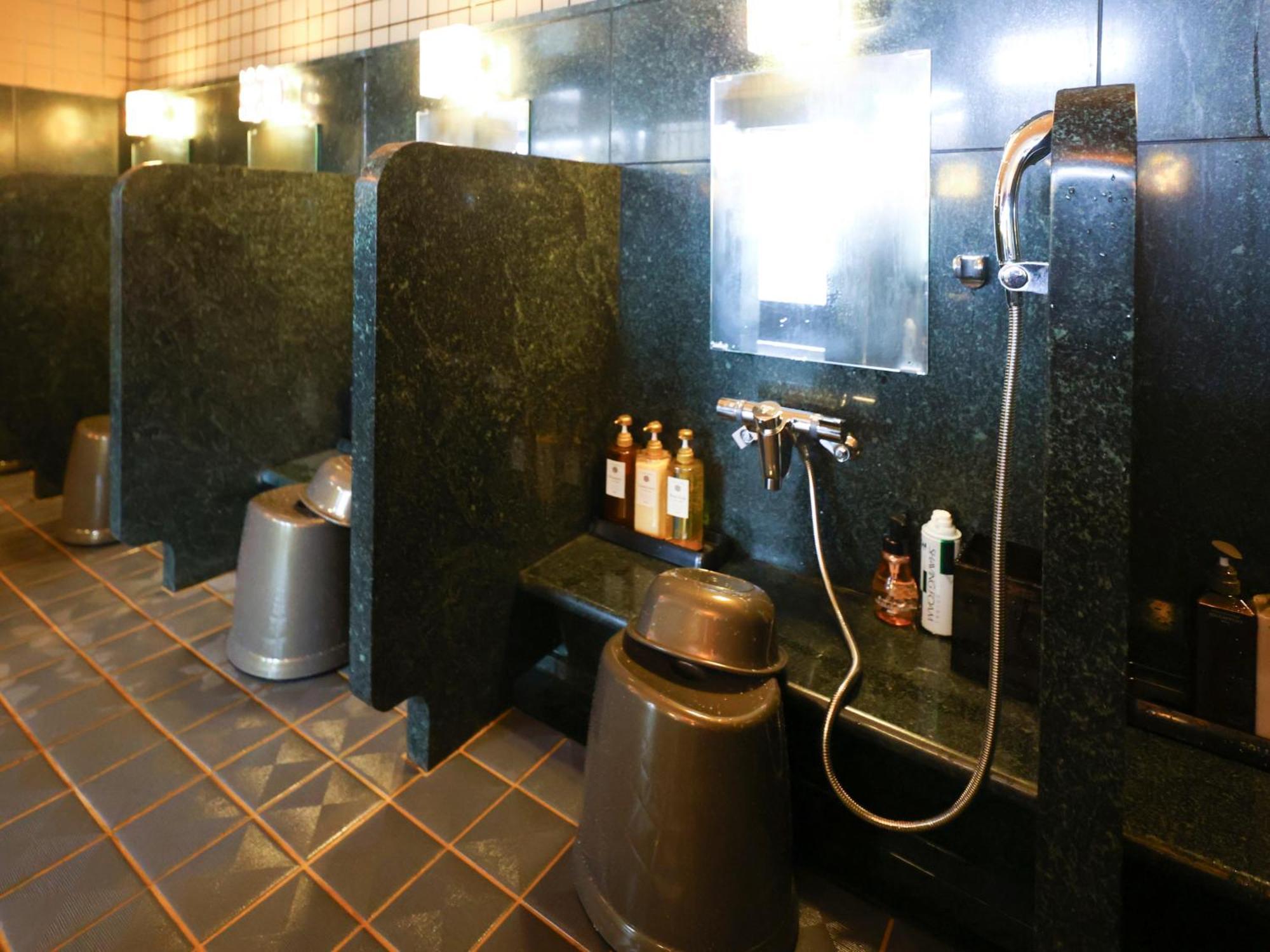 酒店 滕恩温泉之汤新泻多米酒店